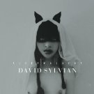 DAVID SYLVIAN: Sleepwalkers CD